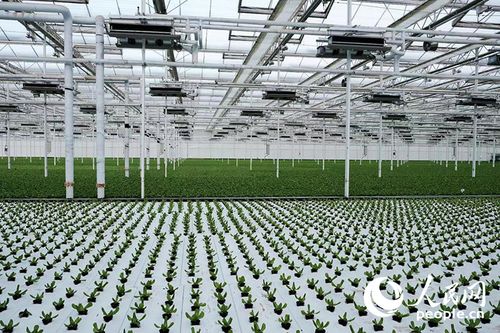 西部大開(kāi)發(fā)新篇章 以高水平開(kāi)放引領(lǐng)環(huán)保科技領(lǐng)域的技術(shù)創(chuàng)新