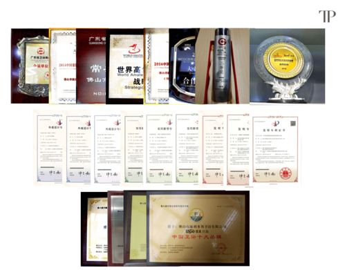 緹派多功能智能衛(wèi)浴工程技術(shù)研究中心榮獲市級認定，引領(lǐng)技術(shù)咨詢新篇章