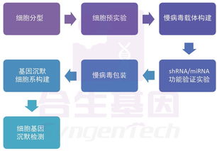 合生基因 基因沉默技術(shù)的前沿咨詢與行業(yè)應(yīng)用