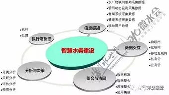 智慧水務(wù)建設(shè)實(shí)踐 專家視角與企業(yè)工程管理服務(wù)探索