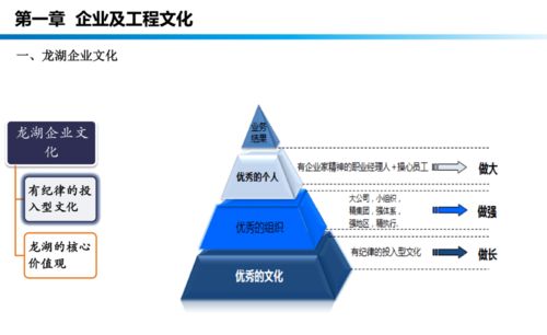 龍湖工程管理手冊培訓(xùn) 提升工程管理服務(wù)效能與標準化水平